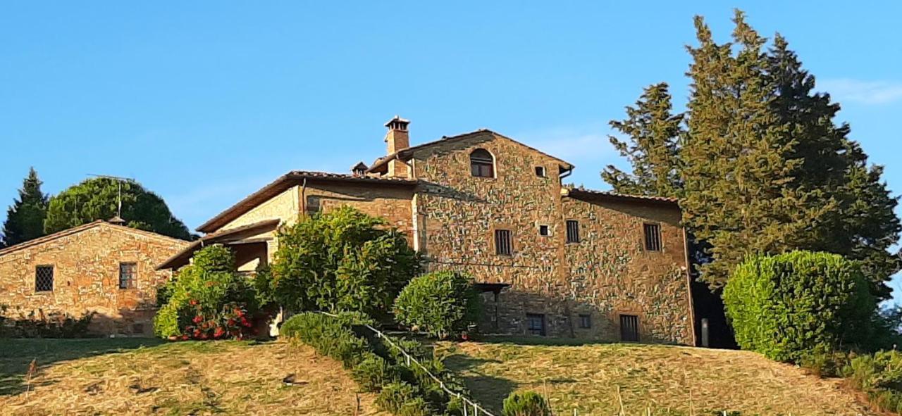 Novellina Villa Certaldo Exteriör bild