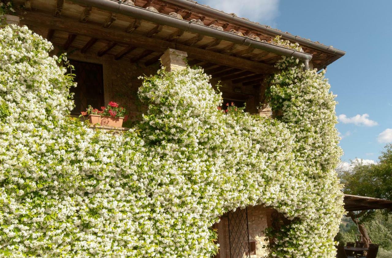 Novellina Villa Certaldo Exteriör bild